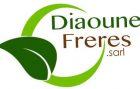 Dioune & Frères SARL